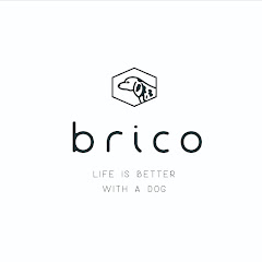 マグさんのbricoチャンネルアイコン画像