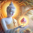 y2Excdvx5pY-channel-avatar-Ashinkarrunika(Dhamma Gavesī Channel)