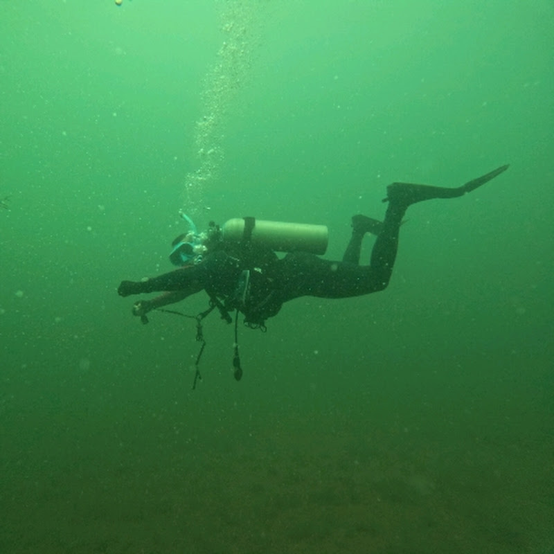 Scoop Scuba Diving