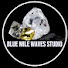 s4jc-JhNxuw-channel-avatar-Blue Mile Waves Studio and Blue Mile Waves Studio