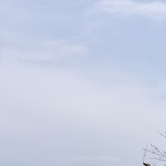 co