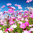 @광사랑-j8j