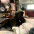 jjpRHqGRsAI-channel-avatar-Chong the dog healing journey for the soul 🔥