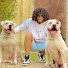 C1aw5zfkGQY-channel-avatar-Hassan Sheta