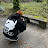 @whotfiskammie Avatar
