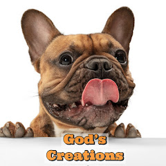 Gods Creations Daily Image Thumbnail