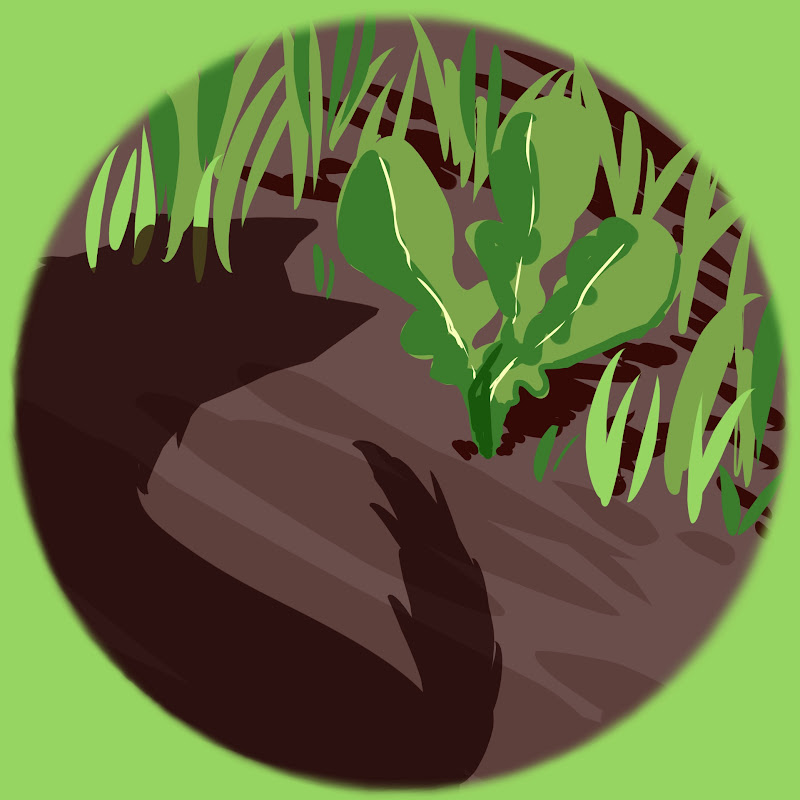 瑠煌羅【るっこら】