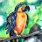@pierrotzzz's avatar