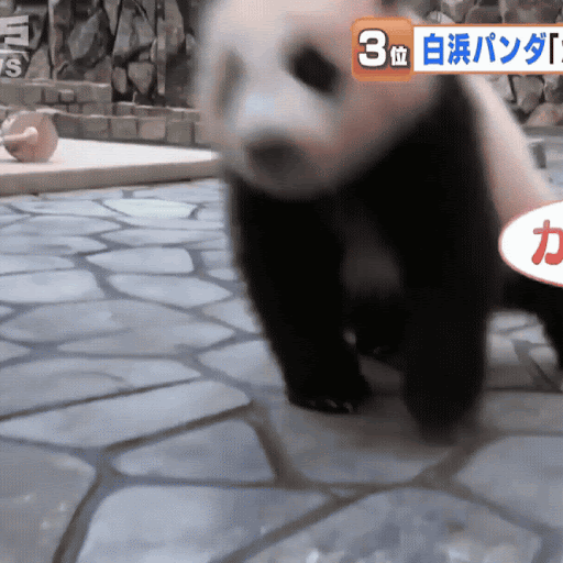 パンダページ YouTube