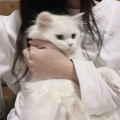 ★ 𝐌𝐀𝐅𝐈𝐀 𝐐𝐔𝐄𝐄𝐍 ★