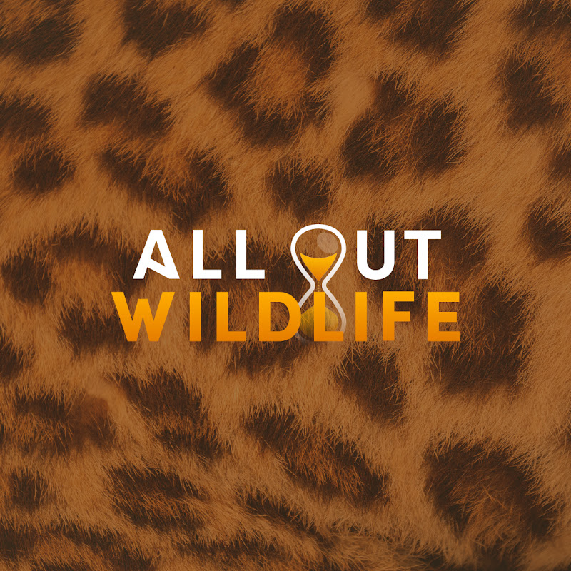 All Out Wildlife Logo