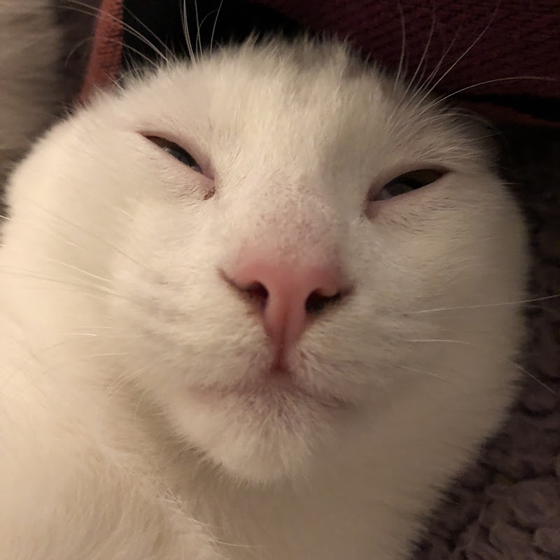 Lux