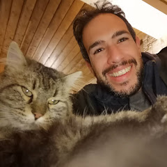 Tomer Fishman | תומר פישמן
