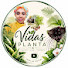 9NUrZ7gwGg4-channel-avatar-Vida plantas💚🪴