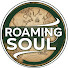 GuNBBknILwU-channel-avatar-Roaming soul