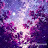 @ريتاجاحمد-غ6و8ت