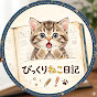 びっくりねこ日記