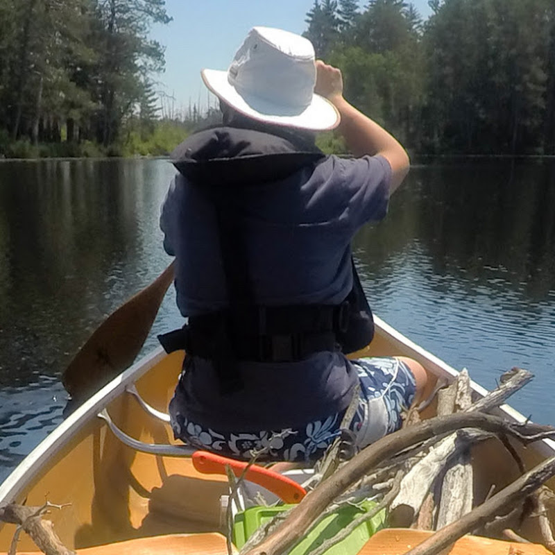 香港人在多倫多 HongKonger in Toronto Logo