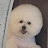 @몽이맘-q7l