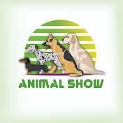 animal show
