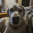 vuPjK2BBfZE-channel-avatar-Noer