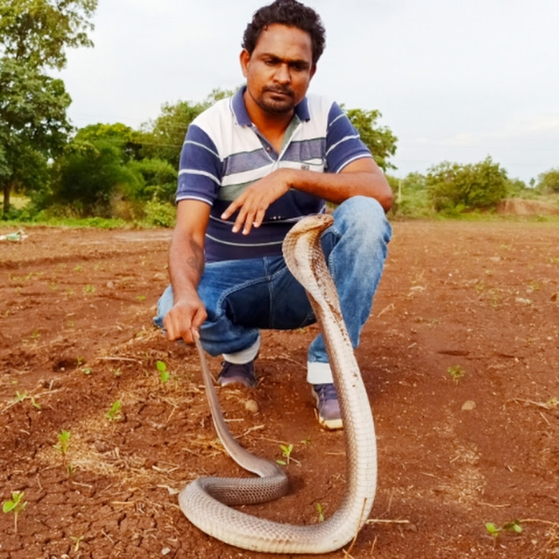 Sarpmitra DR BHASKAR