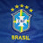 @arthurvieiraeloymarques3515