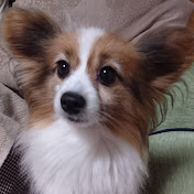 sunnychan