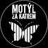 10dAPtBs-wI-channel-avatar-Motýl za katrem