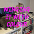 O-2rOF2YM8g-channel-avatar-Winging it with Colour 
