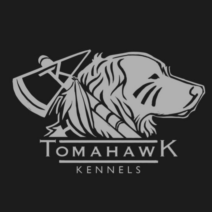 Tomahawk Kennels - Boykin Spaniels