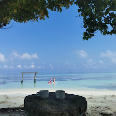 Album de călătorii 