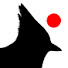 HU21mhX-0yA-channel-avatar-TheStellarJayLIVE