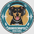 -ktuO89jqbM-channel-avatar-Soundschnipsel