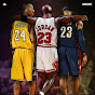 Courtvision-d3s