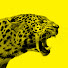 qQzeqfbCC0Q-channel-avatar-Locarno Film Festival
