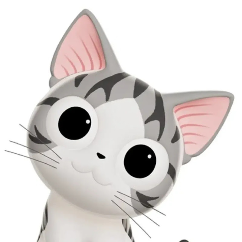 Curious고양이