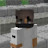 @Minecraft120