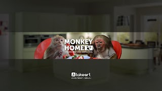 Заставка Ютуб-канала «Monkey Home»