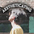 3DR0ggqcK5Y-channel-avatar-AESTHETICATING ♡