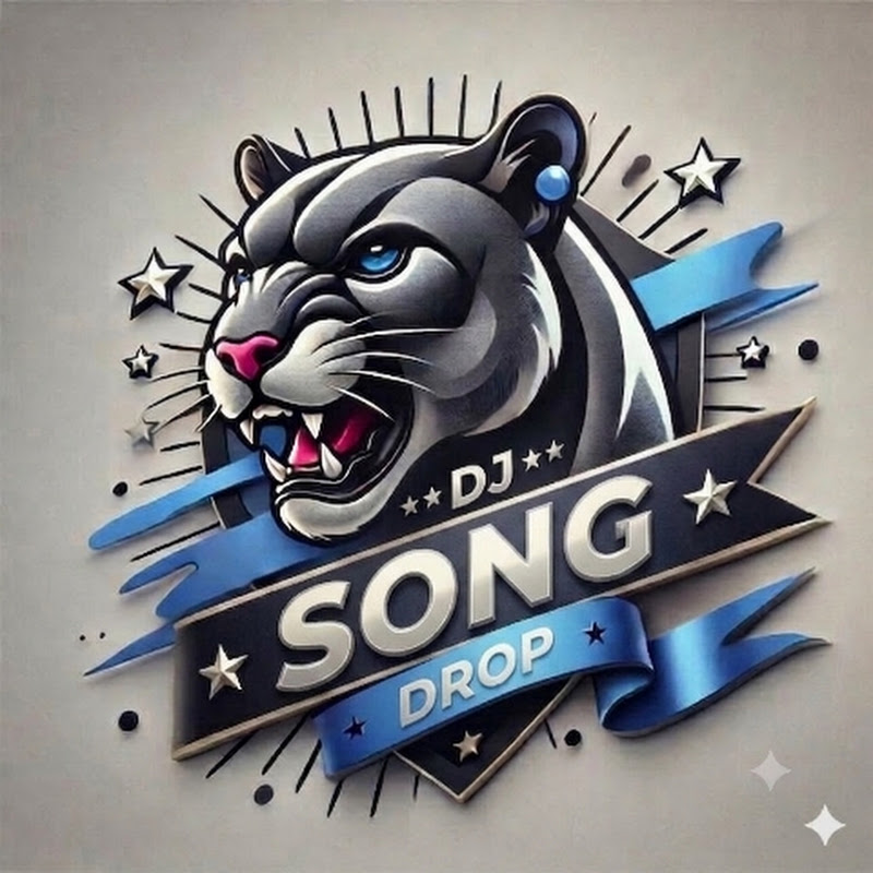 DJ SONG DROP 