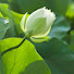 bf5d81ghVzY-channel-avatar-TRÊN NẺO ĐƯỜNG THIÊN LÝ 