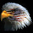 @Gocats-lk6yb Avatar