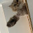 @VVV-bq3tw