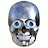 The Official Silverskull