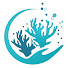 paZ0h5RKXIg-channel-avatar-The Coral Reef Research Hub
