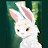 @Bunny-AJ