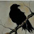 @DeadHorse539 Avatar
