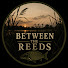 mSTwoT-Fo-s-channel-avatar-Between The Reeds
