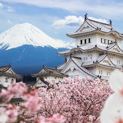 政経突破